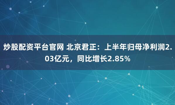 炒股配资平台官网 北京君正：上半年归母净利润2.03亿元，同比增长2.85%