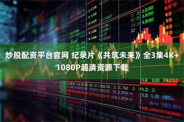 炒股配资平台官网 纪录片《共筑未来》全3集4K+1080P超清资源下载
