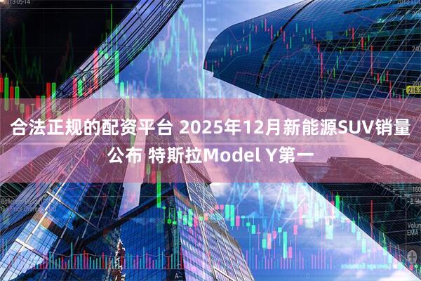 合法正规的配资平台 2025年12月新能源SUV销量公布 特斯拉Model Y第一
