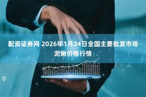 配资证券网 2026年1月24日全国主要批发市场泥鳅价格行情