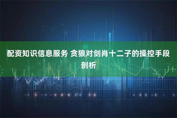 配资知识信息服务 贪狼对剑肖十二子的操控手段剖析